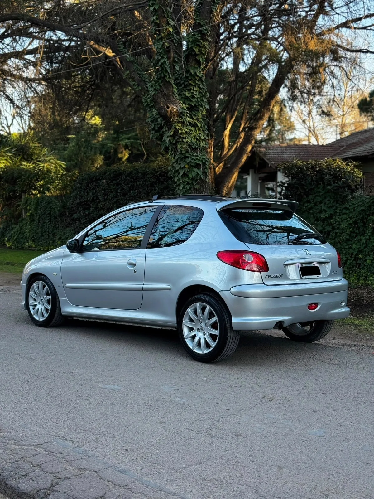 Foto 3 de Peugeot 206 XS 1.6 16v